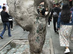 -芙蓉泉·烤鸡爪(芙蓉街店)