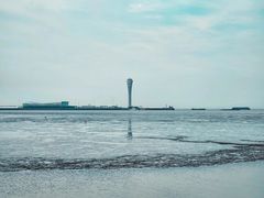 -上海吴淞炮台湾国家湿地公园