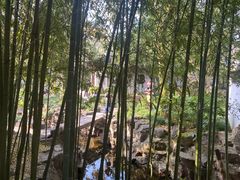 -秋霞圃