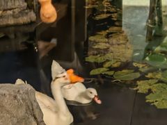 -日出青木·杭帮菜名店