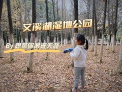 -艾溪湖湿地公园