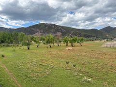 -泸沽湖国家级风景名胜区走婚桥