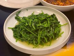 清炒豌豆尖-新川办餐厅