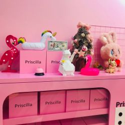 -Priscilla皮肤管理中心