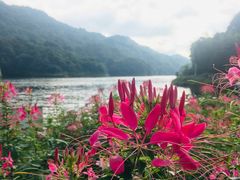 -广州市石门国家森林公园