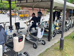 -黄海国家森林公园