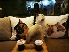 -猫和宫(六道口店)