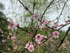-常德桃花源景区