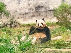 -石排湾郊野公园