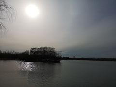 -大兴滨河森林公园