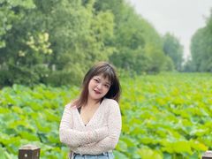 -合肥滨湖国家森林公园