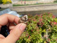 -海棠花溪(元大都城垣遗址公园)