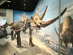 -国家自然博物馆