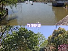 -南汇桃花村