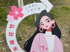 -高东镇樱花园