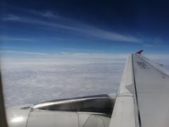 -麦当劳(禄口机场T2航站楼)