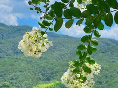 -严子陵钓台(富春江小三峡)