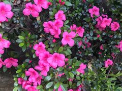 -杭州城北体育公园