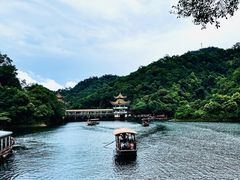 -鼎湖山风景区