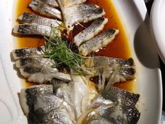 抱腌海鲈鱼-金稼园·金平湖农家菜