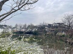 -迎晨餐厅(青芝坞店)