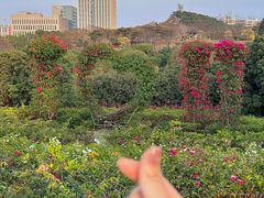 -东莞植物园