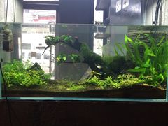 -百好乐宠物友好餐厅(朝外大街店)