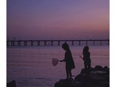 -宝安西湾红树林湿地公园