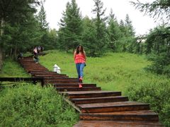 -塞罕坝国家级自然保护区