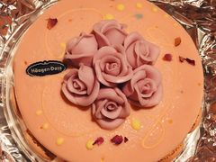 -哈根达斯(龙湖时代天街店)