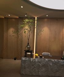 -VELEE·SPA高定疗愈会所