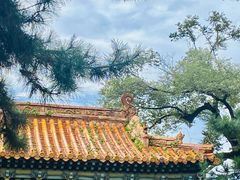 -沈阳市东陵公园