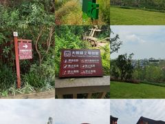 -成都大熊猫繁育研究基地