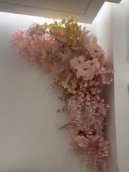 -苗方清颜痘肌研究所