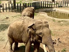 -济南野生动物世界
