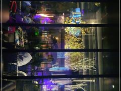 -纽扣NEWKO