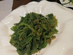 -松月湖大酒店
