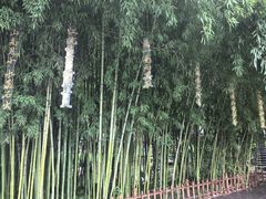 -东坡赤壁风景名胜区