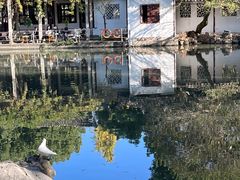 -西园戒幢律寺
