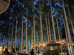 -桉树林A coffee 森林餐厅(三圣乡店)