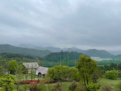 -莫干山风景区