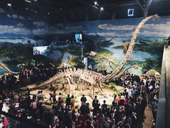 -自贡恐龙博物馆