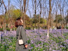 -白塘生态植物园