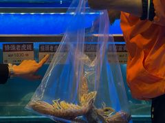 椒盐赖尿虾-協成海鮮火鍋(老店)