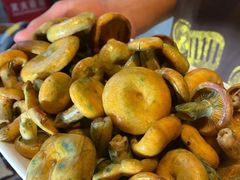 -菌山里·野生菌猪肚包鸡(阳光花园店)