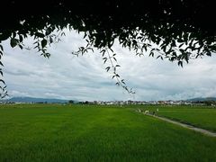-喜林苑·稻田餐厅(品相府店)