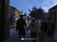 -特克斯八卦城