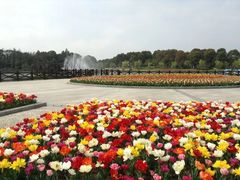 -上海鲜花港