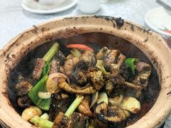 啫啫黄鳝-天宝食坊·啫啫煲大排档(西华路店)