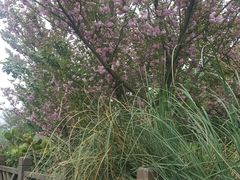 -贵阳市花溪国家城市湿地公园